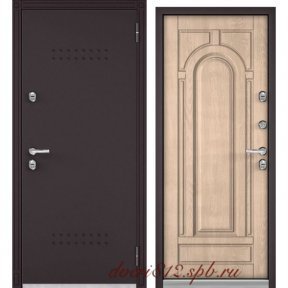 Дверь TERMO-102 (901)